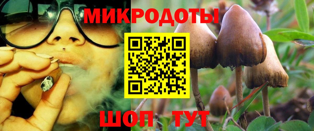 Псилоцибиновые грибы мицелий Выборг
