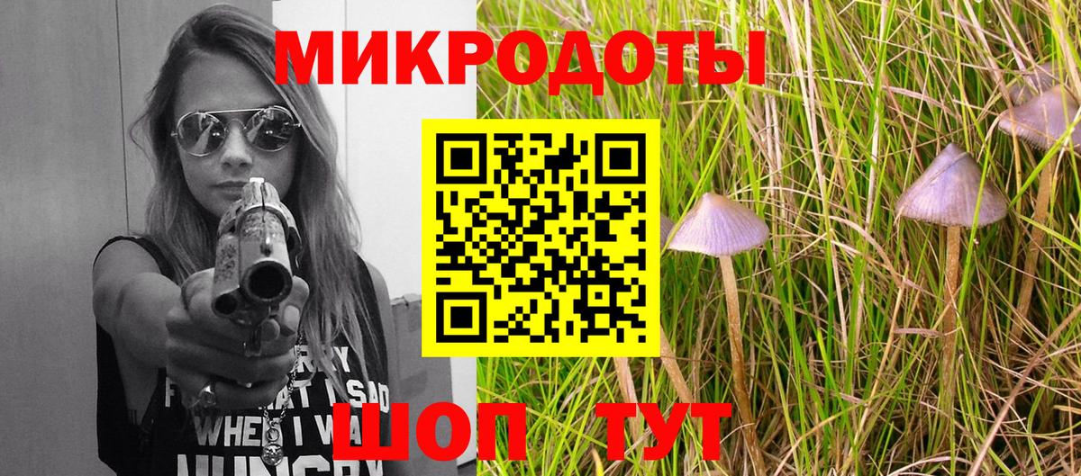 Выборг  Галлюциногенные грибы Psilocybine cubensis  Вход с VPN  что такое   Псилоцибиновые грибы GOLDEN TEACHER 